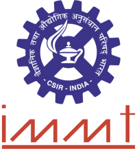 IMMT Recruitment 