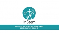 InStem Recruitment 