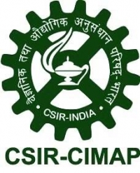 CIMAP Lucknow Recruitment  